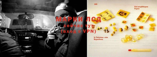 дживик Аркадак