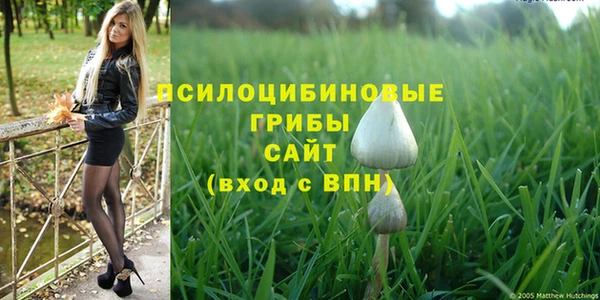 дживик Аркадак