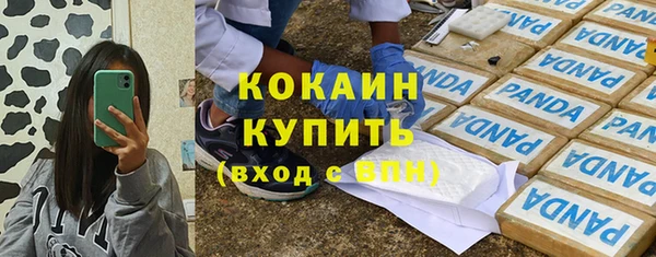 дживик Аркадак