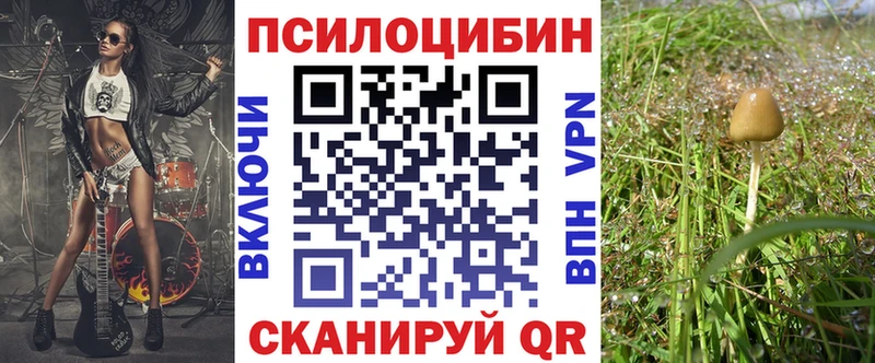 Галлюциногенные грибы Cubensis  Салаир 